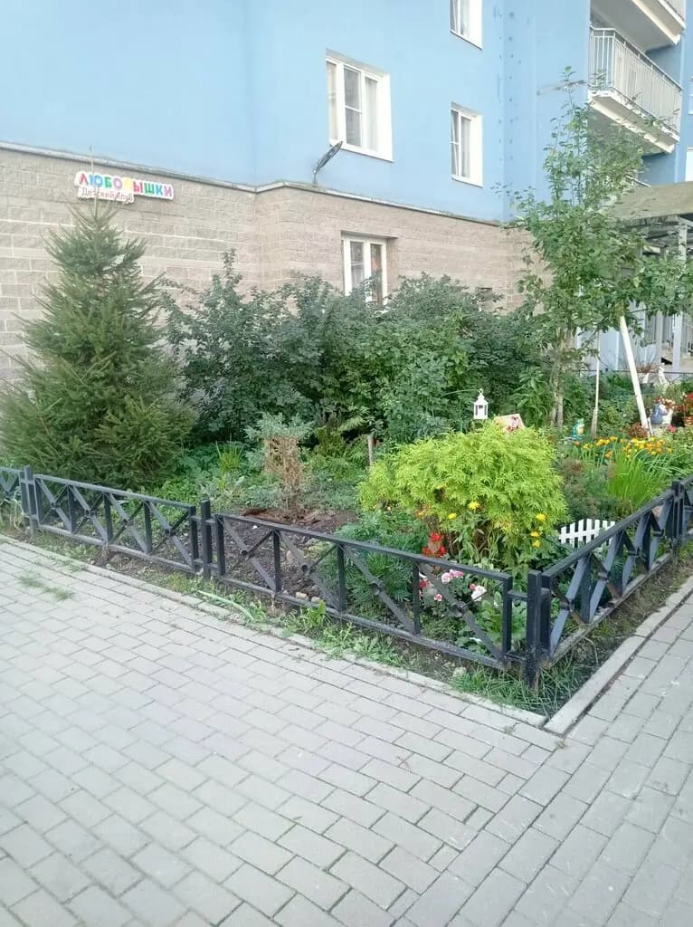 Любопышки — фото 8