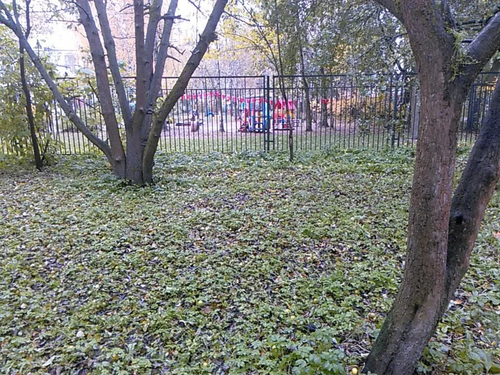 Детский сад № 45 компенсирующего вида — фото 3