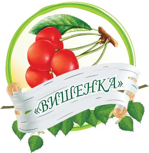 Детский сад № 33 компенсирующего вида Приморского района Санкт-Петербурга — фото 7