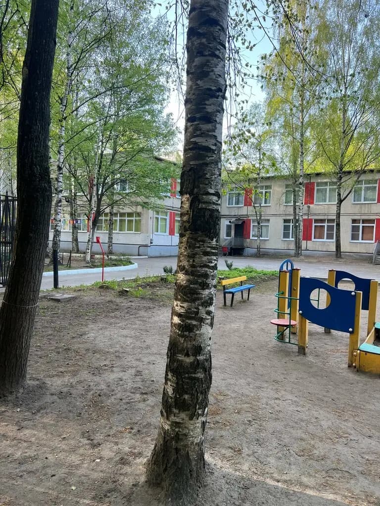Детский сад № 33 компенсирующего вида Приморского района Санкт-Петербурга — фото 8