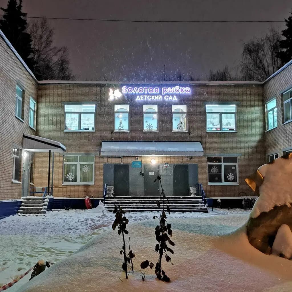 ДО Золотая рыбка — фото 6