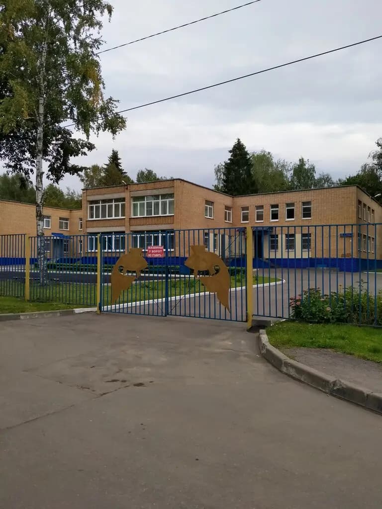 ДО Золотая рыбка — фото 9