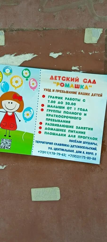 Ромашка — фото 4