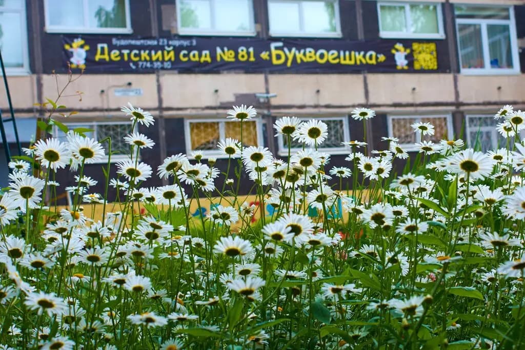 Детский сад № 81 Буквоешка — фото 3