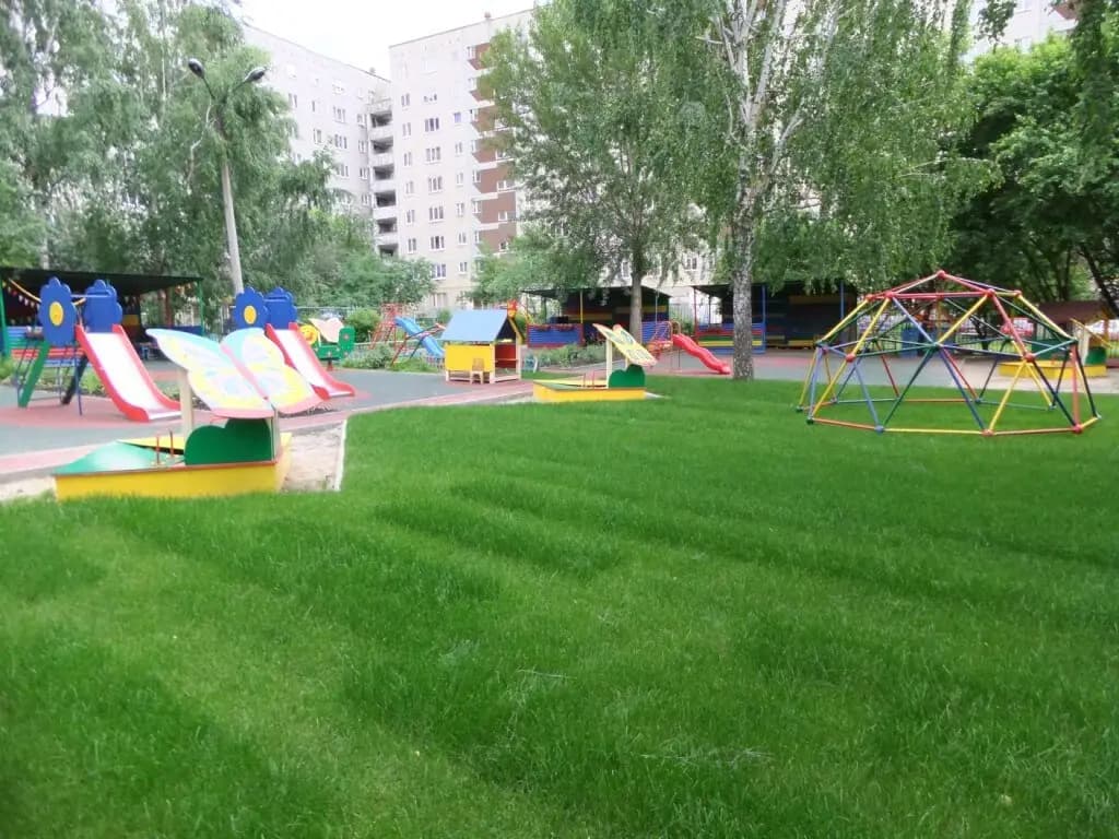 Швабе-Эрудит — фото 4