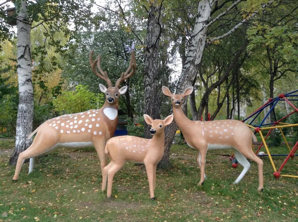 Швабе-Эрудит — фото 6