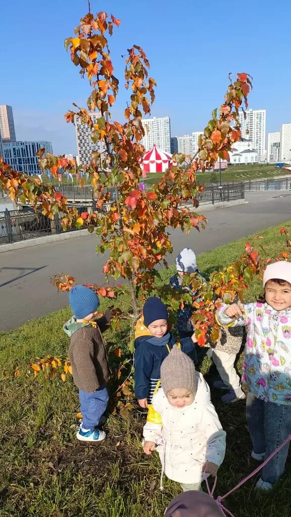 Частный детский сад Совушка — фото 4