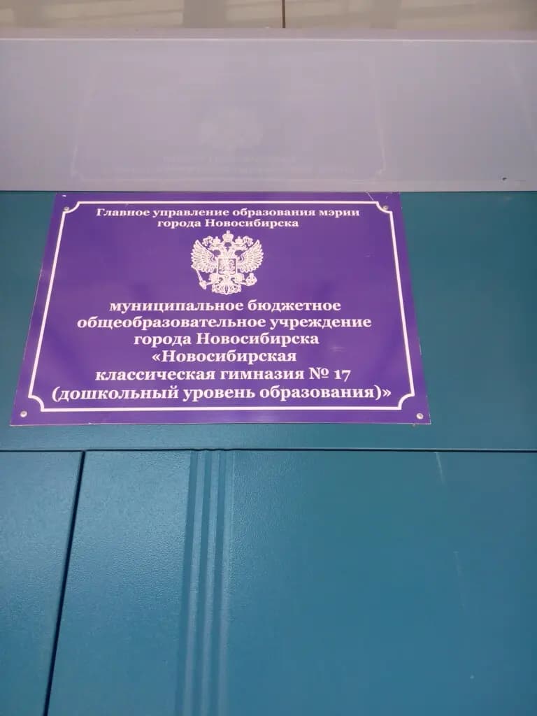 Новосибирская классическая гимназия № 17 — фото 8