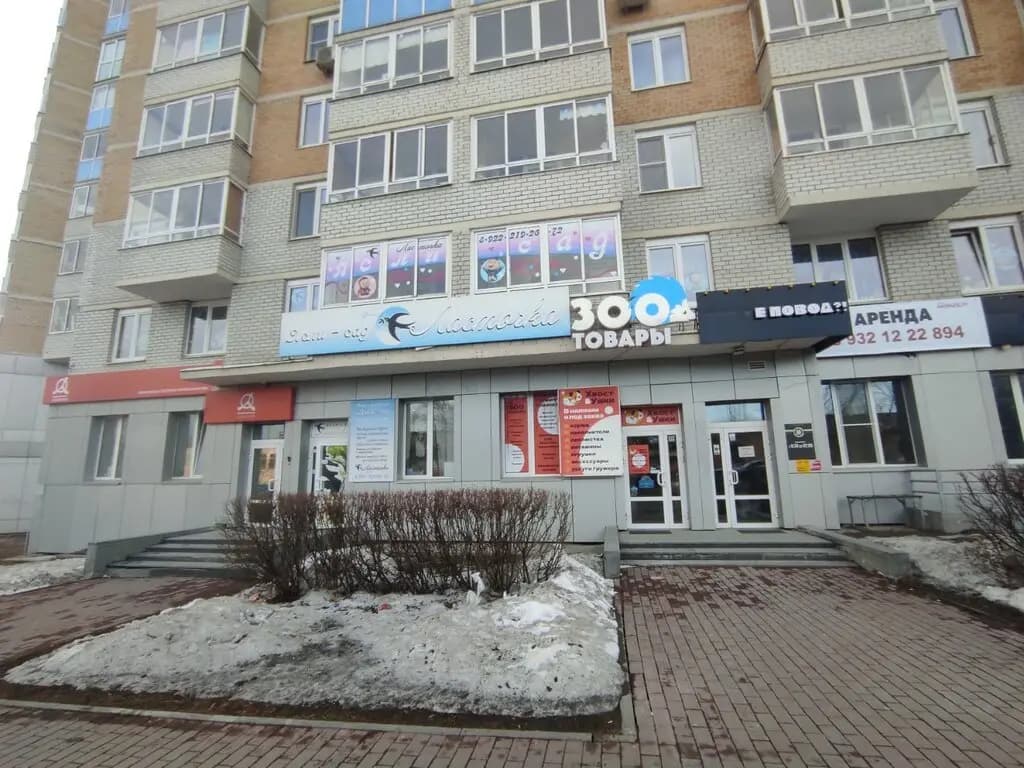 Ласточка — фото 10
