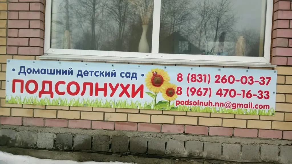 Волшебная страна — фото 5