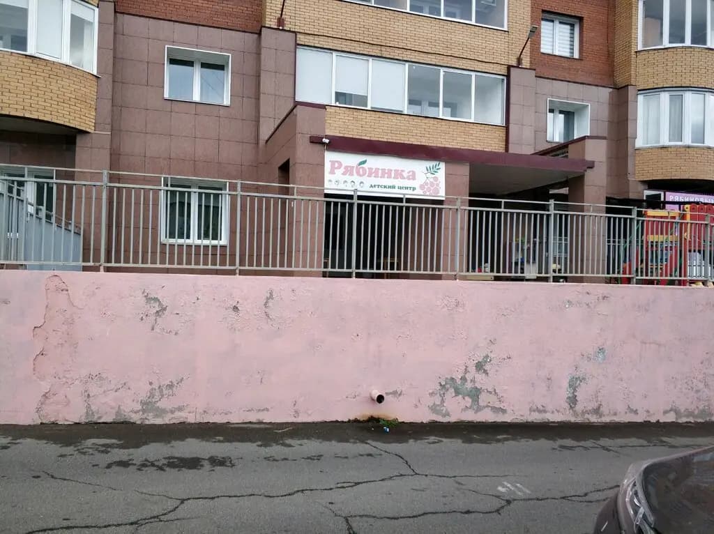 Рябинка — фото 8