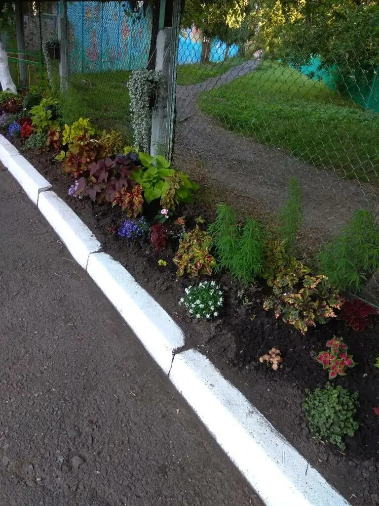 Русалочка — фото 6