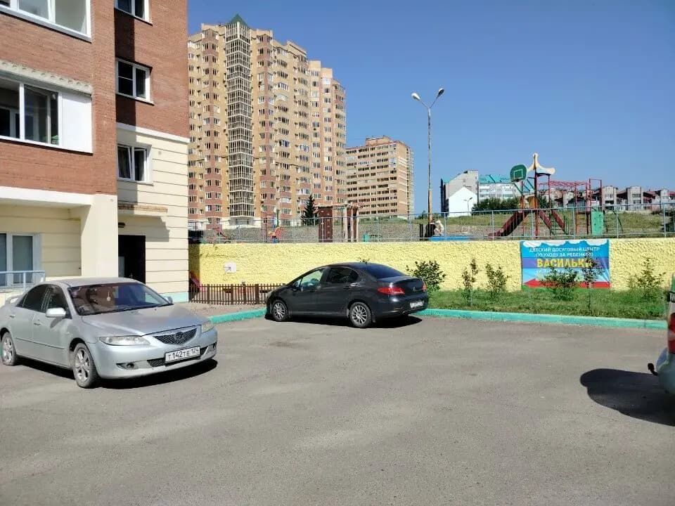 Васильки — фото 4