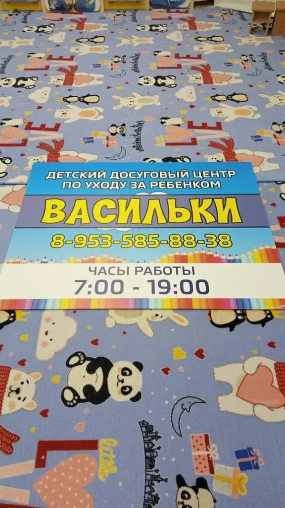 Васильки — фото 5