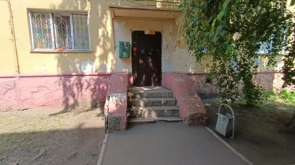 Стрекоза — фото 4