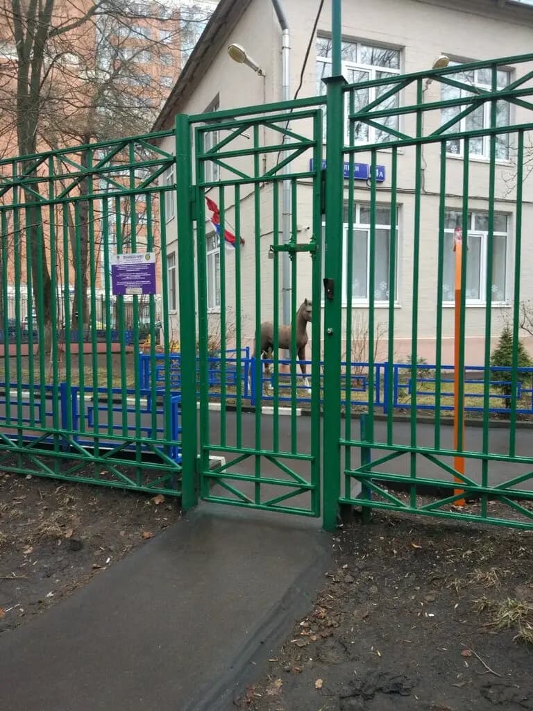 Школа № 117, дошкольное здание № 4 Берёзка — фото 6