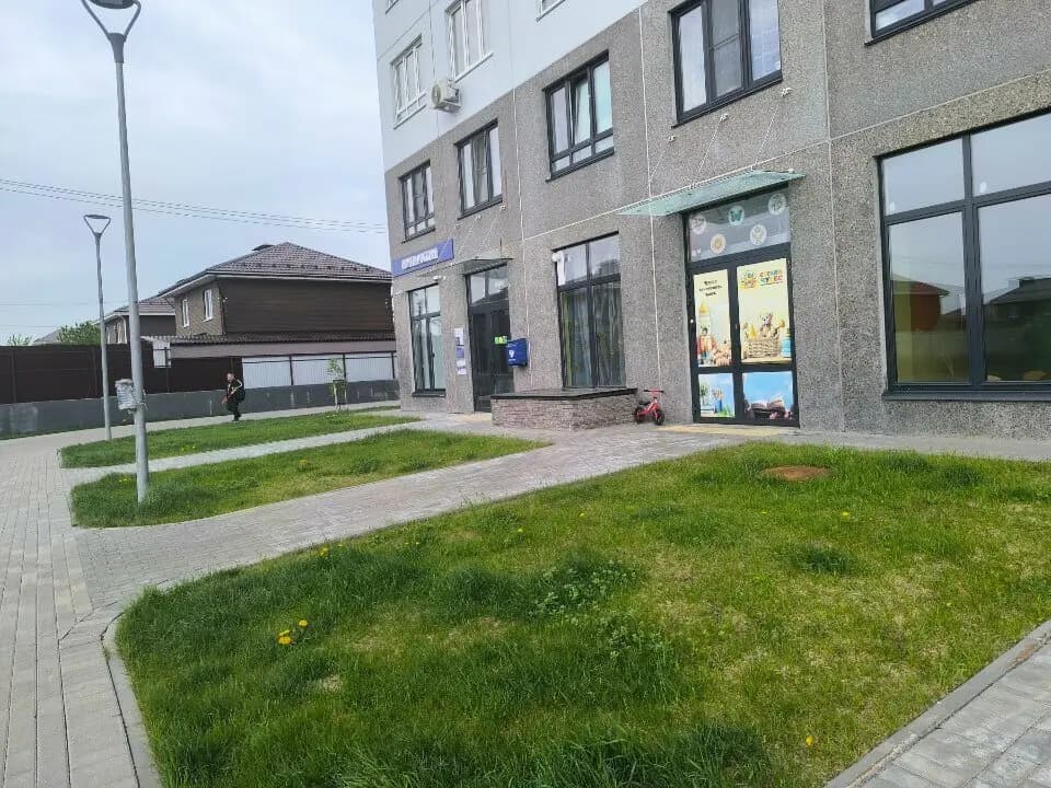 Страна чудес — фото 1