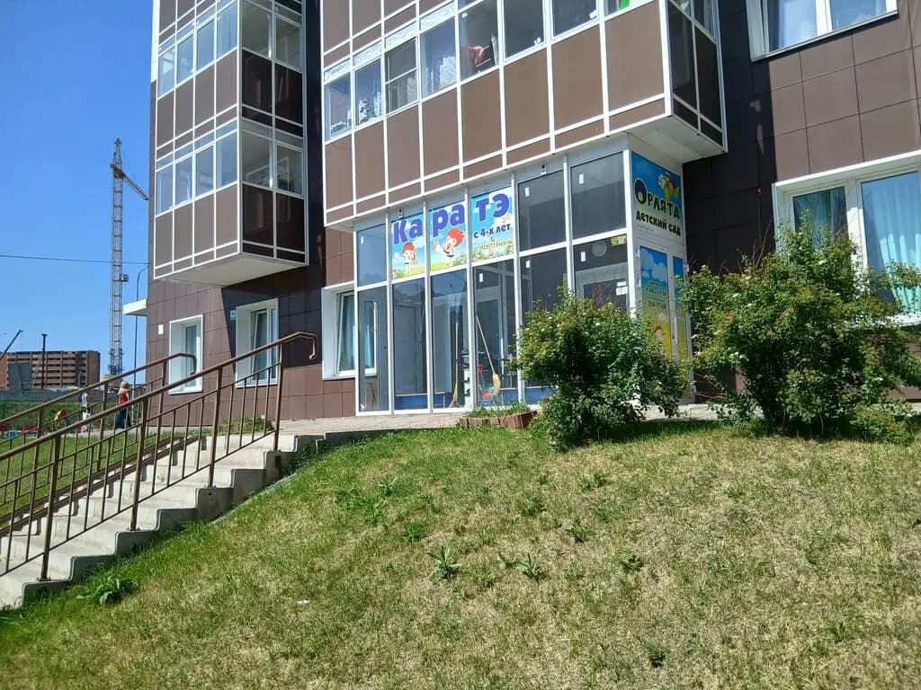 Орлята — фото 2