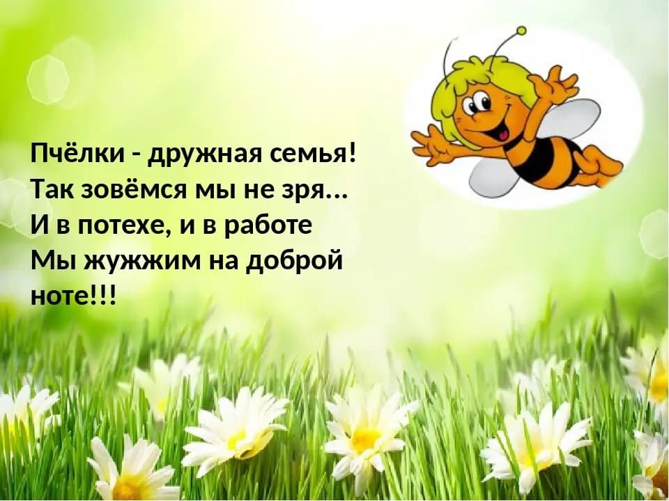 Частный детский сад Пчёлка — фото 4