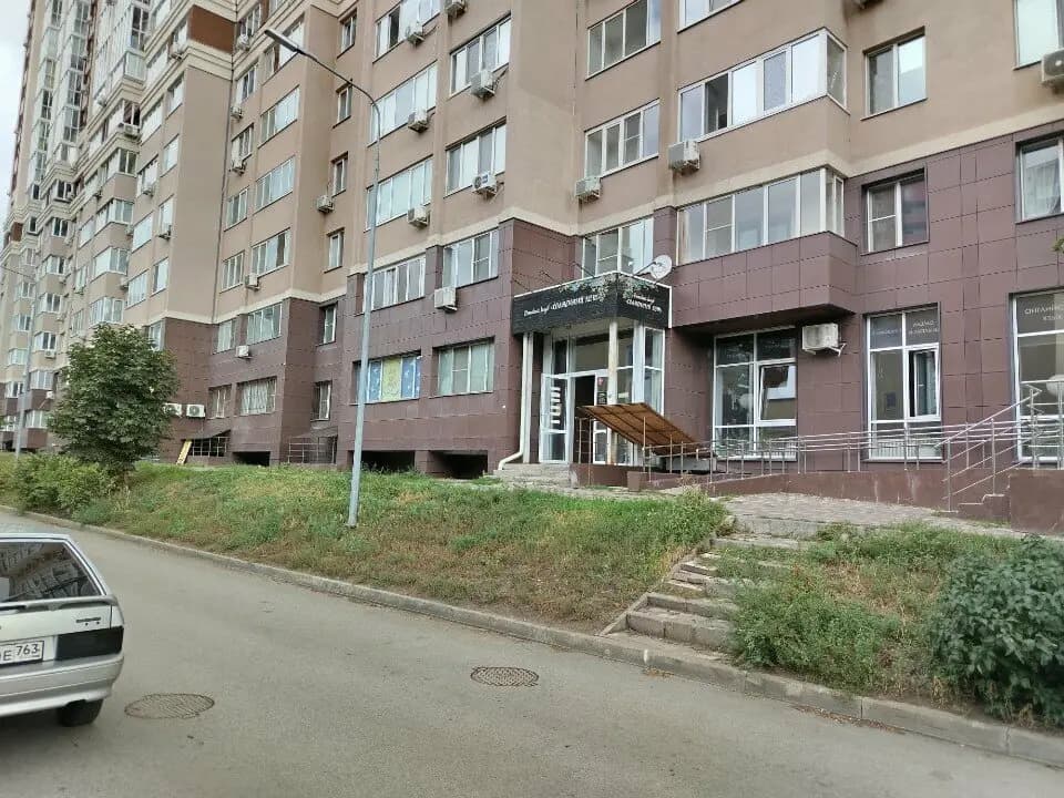 Солнечный кот — фото 6