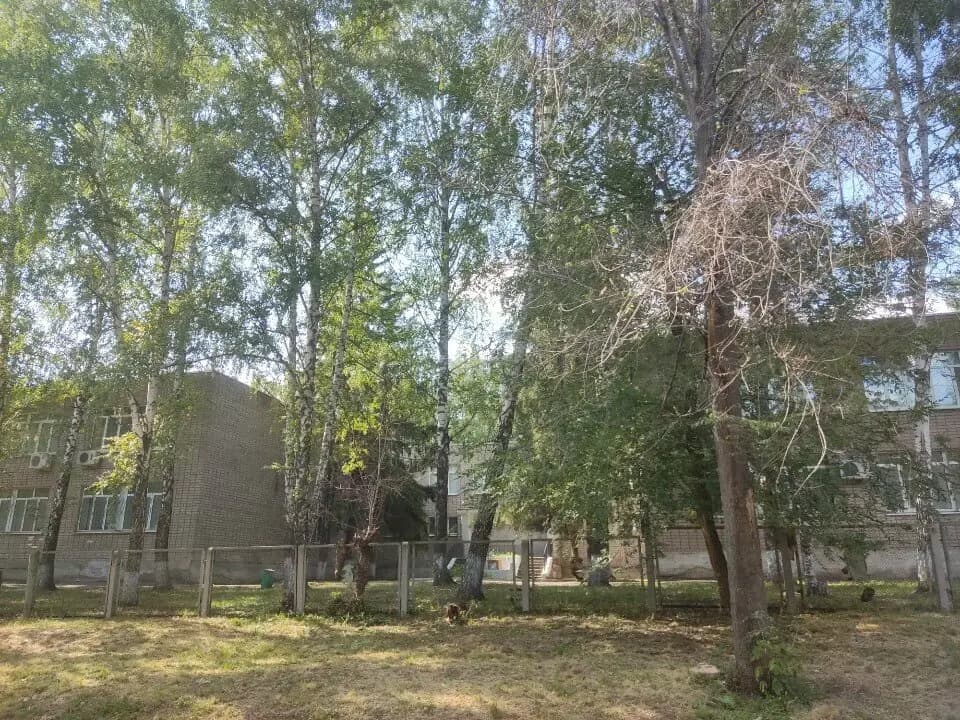 Центр развития ребенка - детский сад № 75 городского округа Самара — фото 6