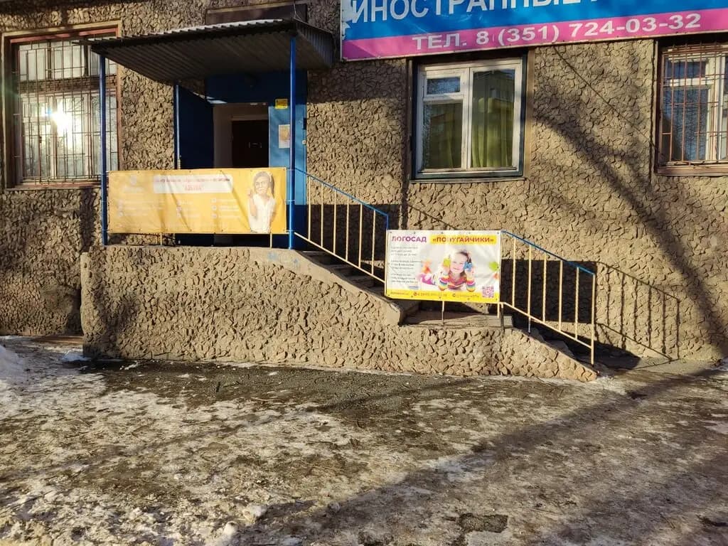 Попугайчики — фото 2