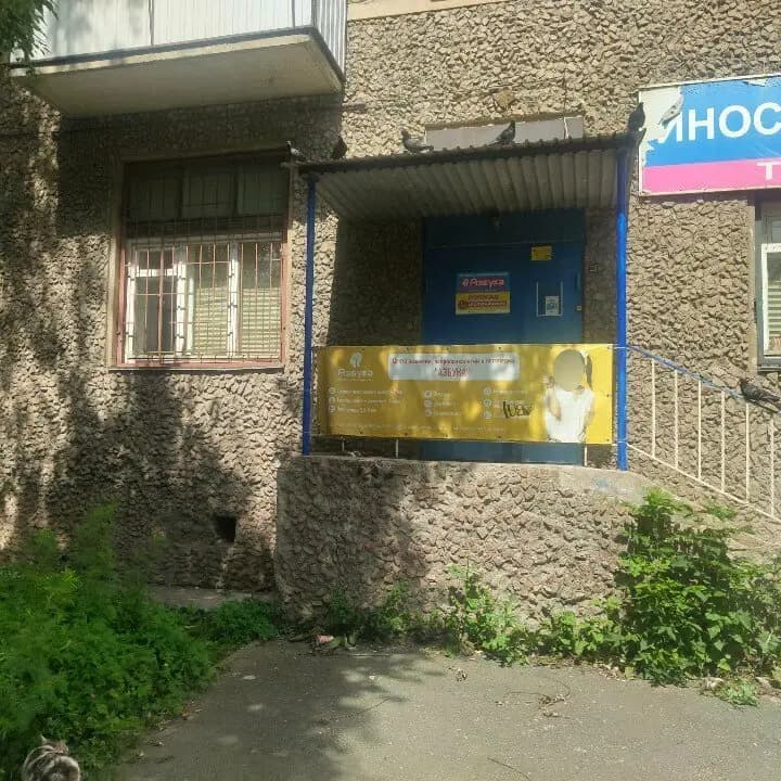 Попугайчики — фото 9