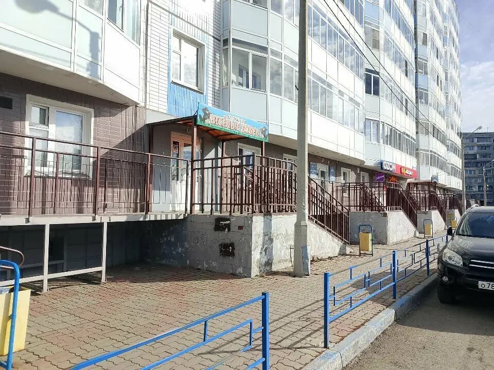 Веселые бобры — фото 5