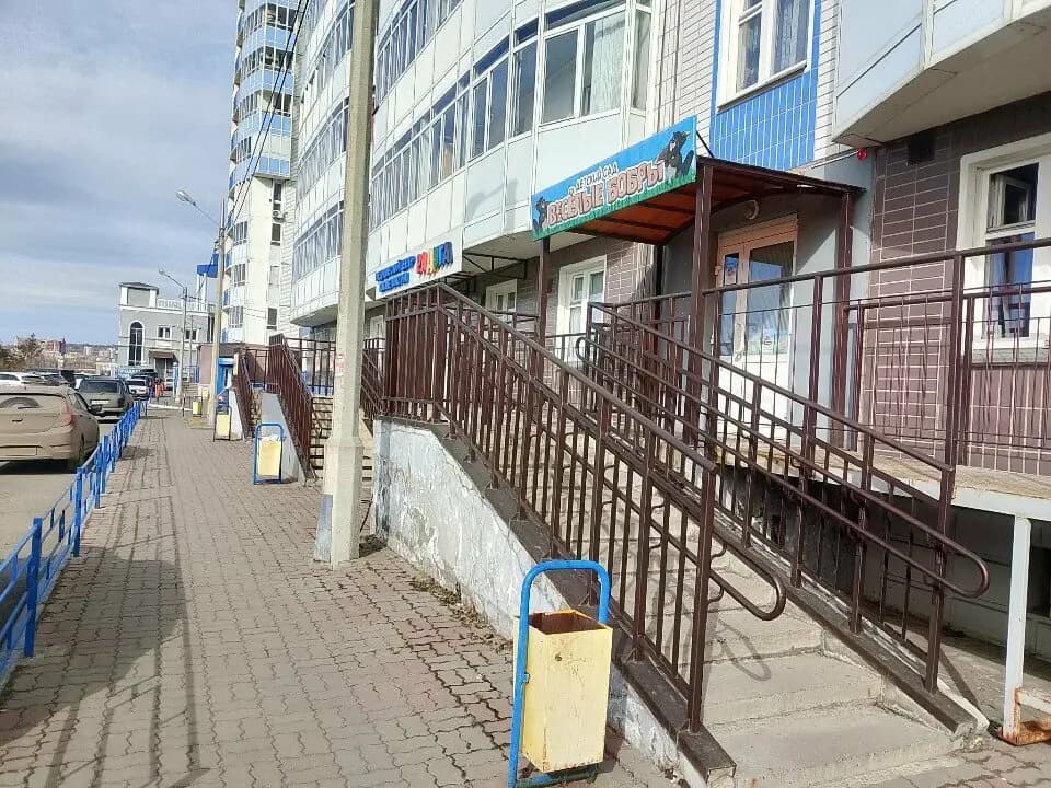 Веселые бобры — фото 6
