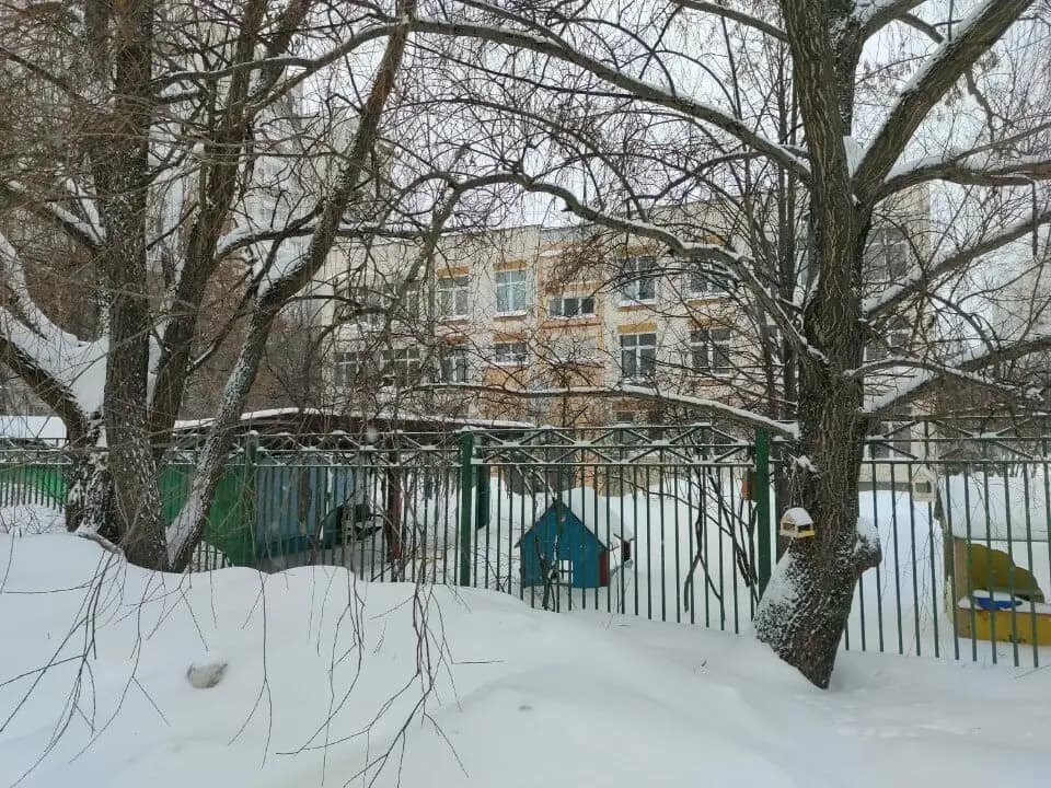 Школа № 2006, Звездочка — фото 6