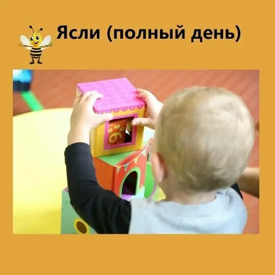 Волшебный улей — фото 10