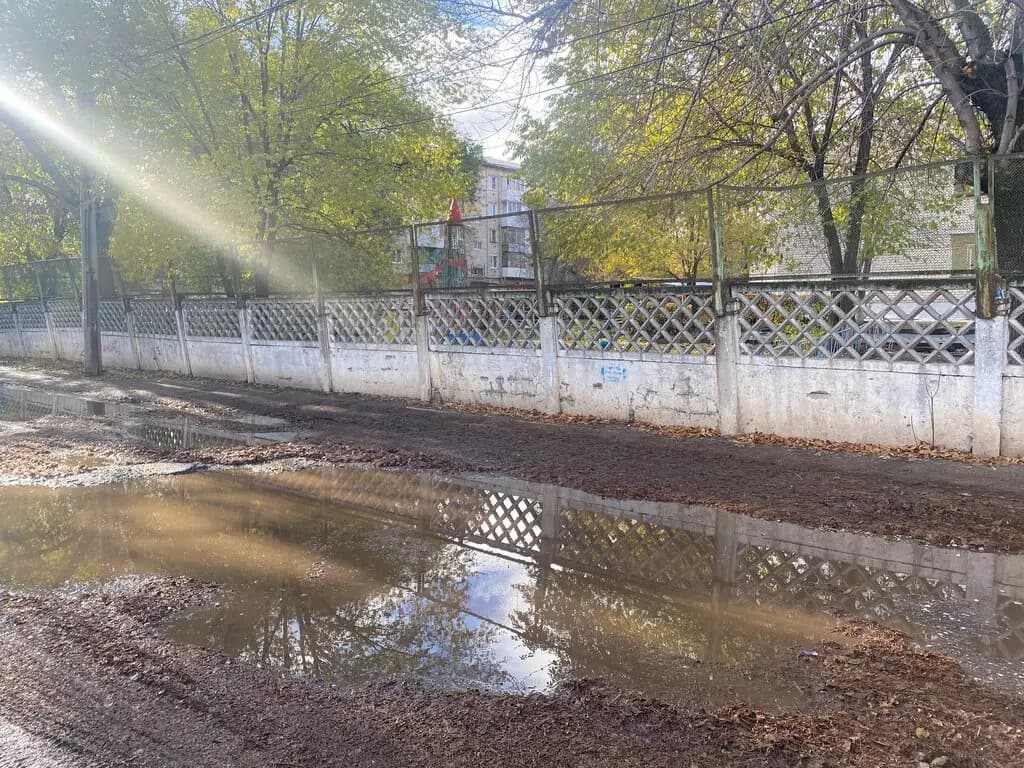 Берёзка — фото 10