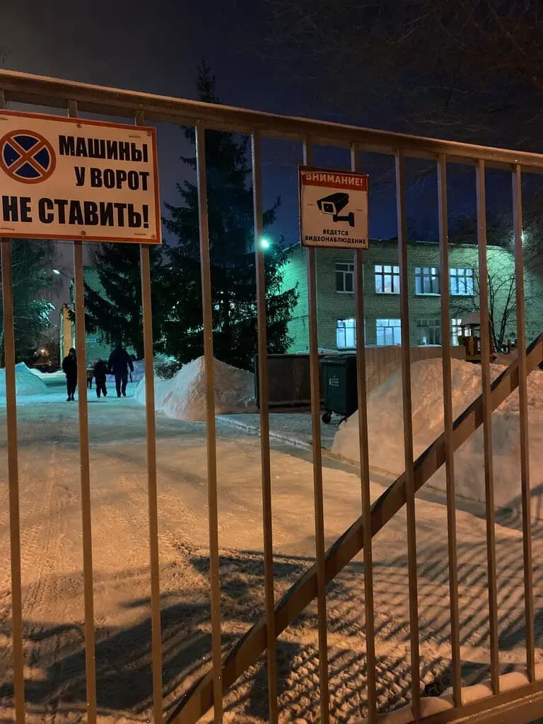 Берёзка — фото 2