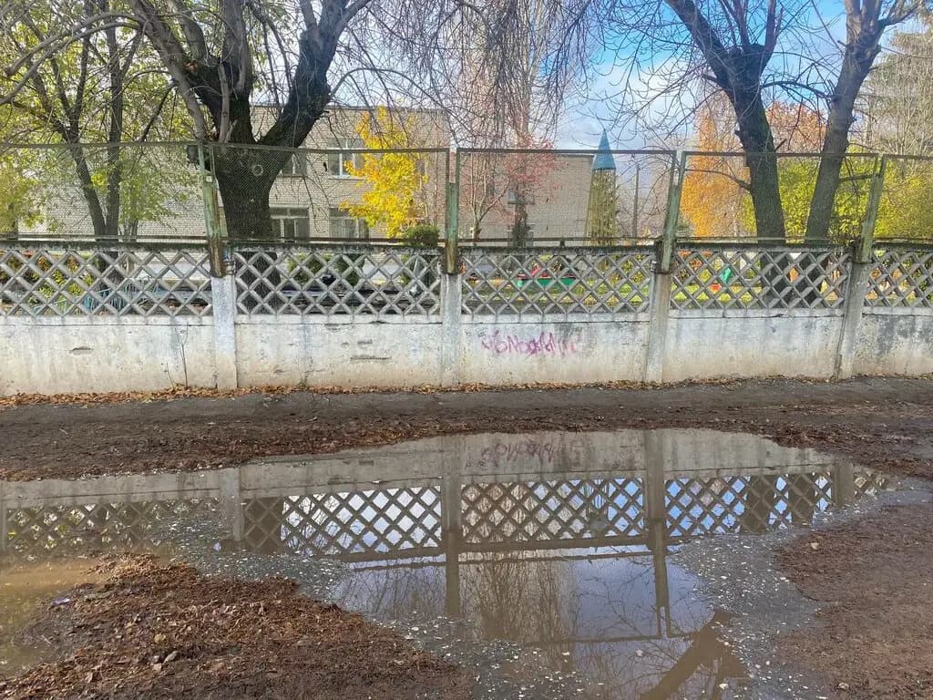 Берёзка — фото 8