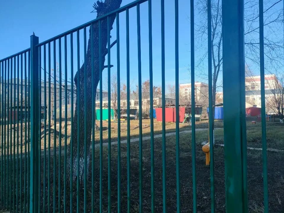 Яблонька — фото 2