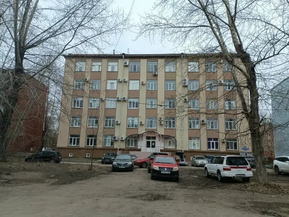 Березка — фото 2