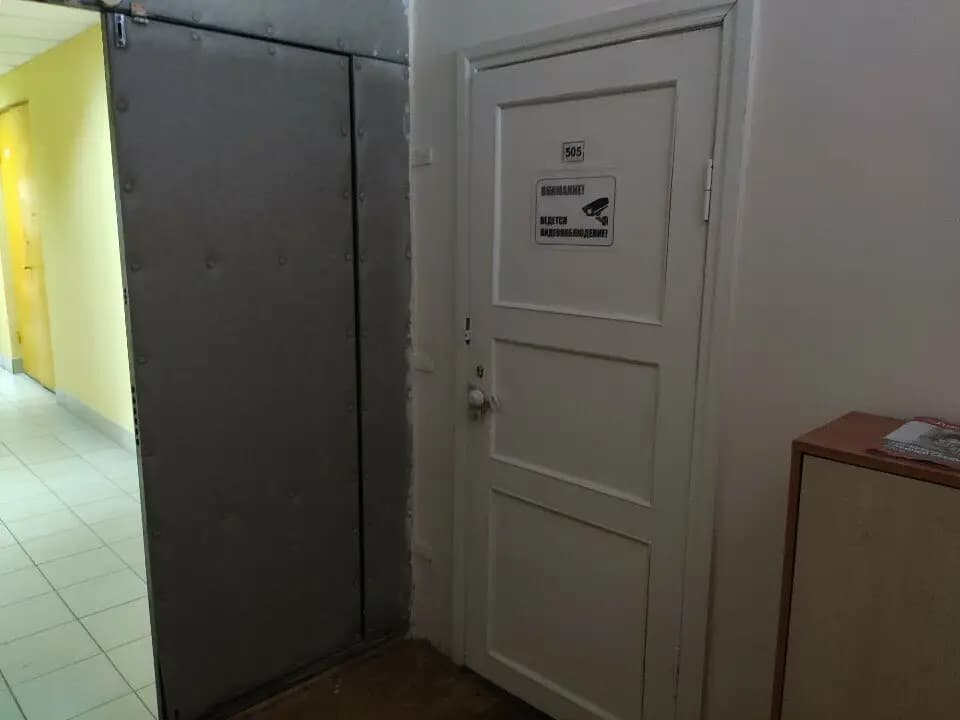 Березка — фото 5
