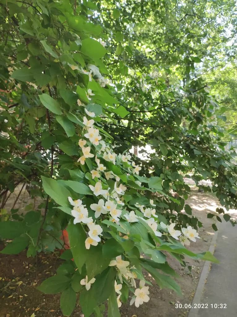Романовская школа, дошкольное отделение № 3 Мозаика — фото 8