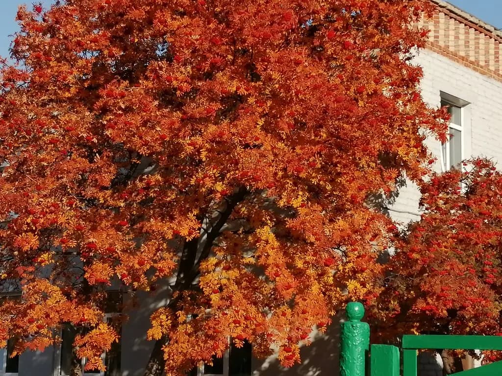 Детский сад № 1 — фото 2