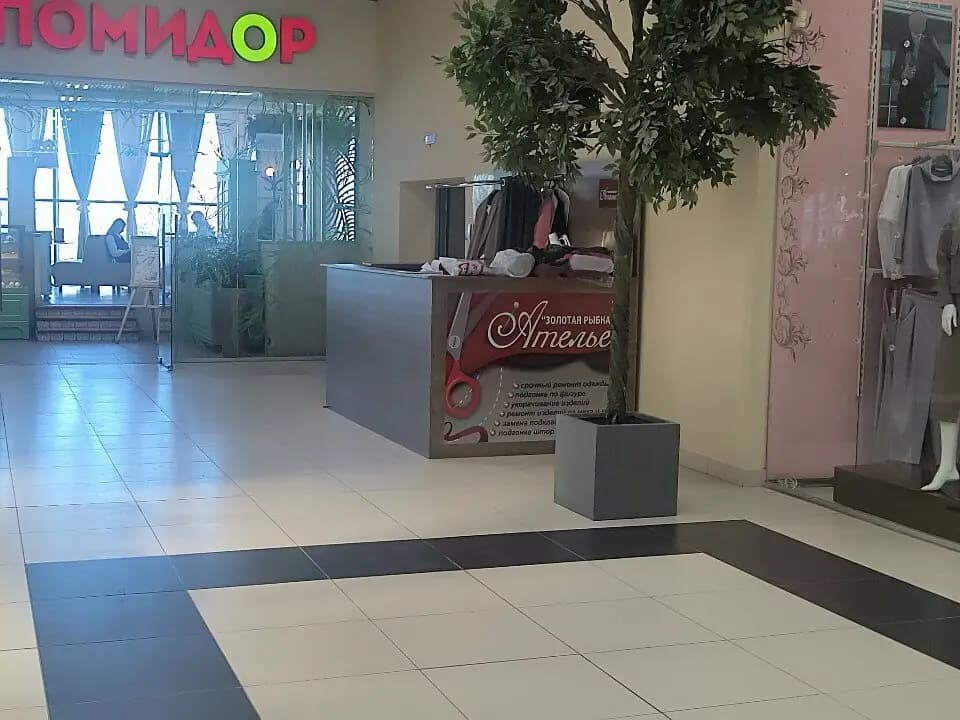 Золотая рыбка — фото 1
