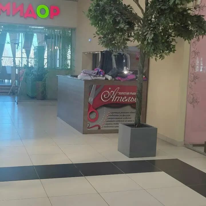 Золотая рыбка — фото 4
