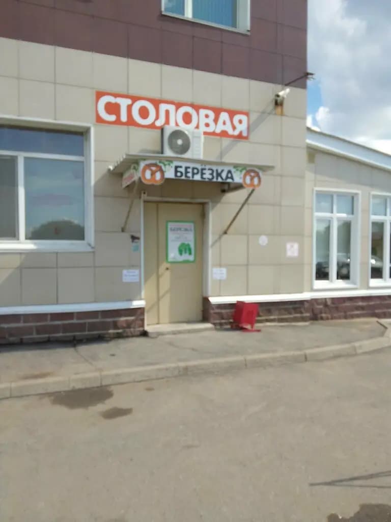 Берёзка — фото 4