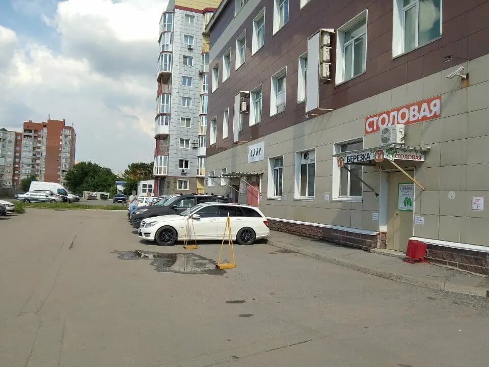 Берёзка — фото 7