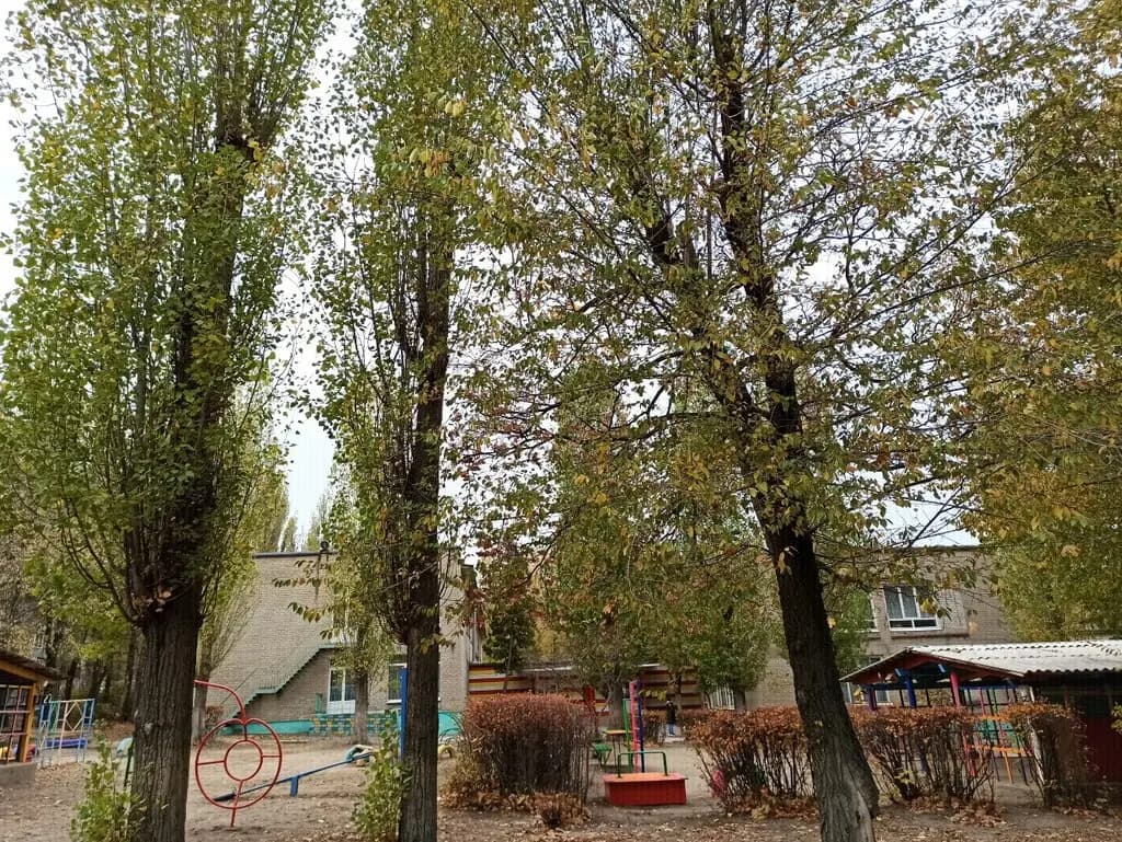 Воронежский учебно-воспитательный комплекс имени А.П. Киселева, дошкольное отделение — фото 6