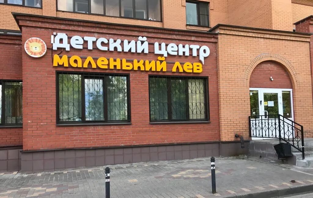 Маленький лев — фото 2