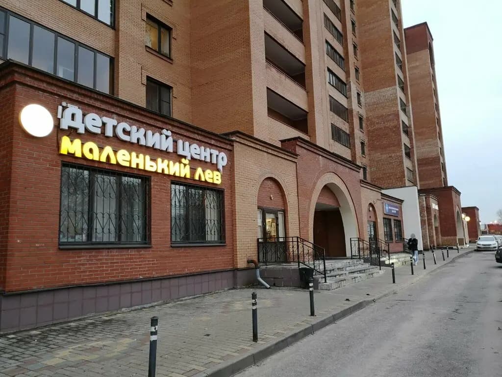 Маленький лев — фото 6