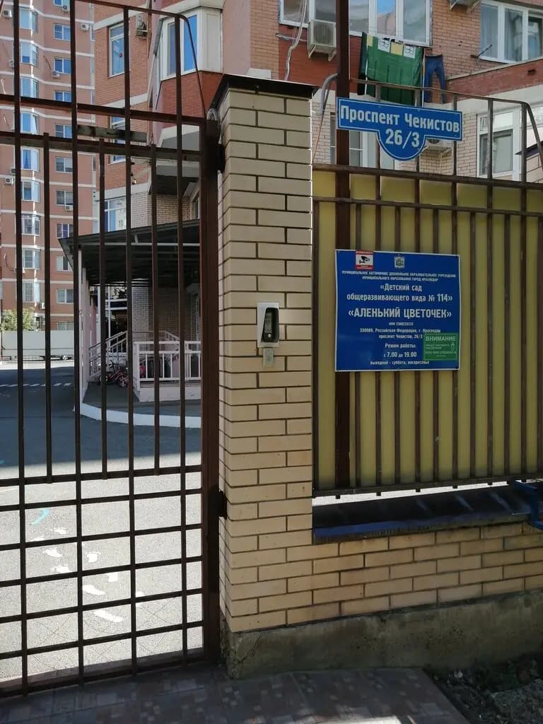 Детский сад № 114 общеразвивающего вида Аленький цветочек — фото 3