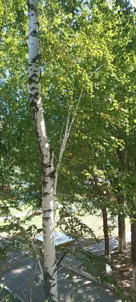 Частное дошкольное образовательное учреждение РЖД детский сад № 28 — фото 9