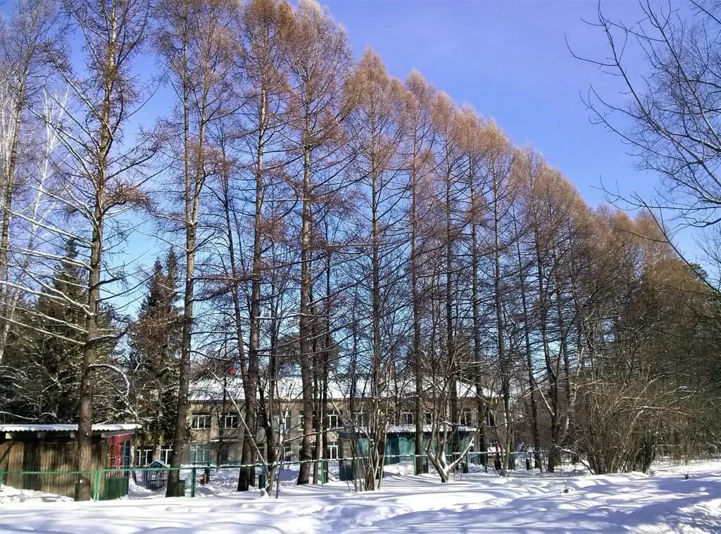 Детский сад № 320 Колосок — фото 7