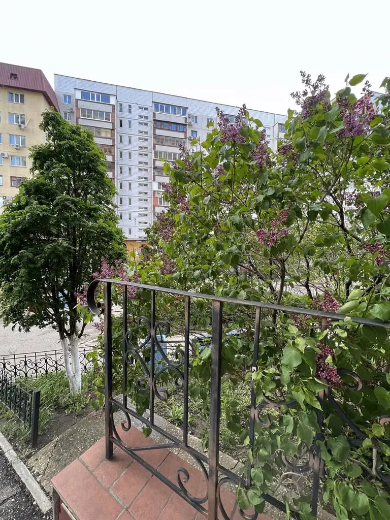 Муха Цокотуха — фото 6